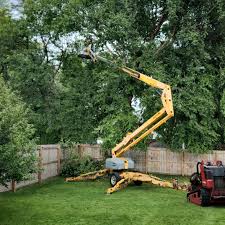 Best Arborist Consultation Services  in Waco, TX